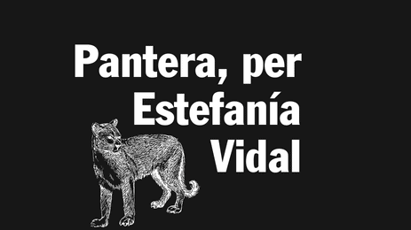 PANTERA - Medida Web